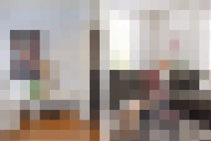 Hofstad 1 Bladel thumbnail 15