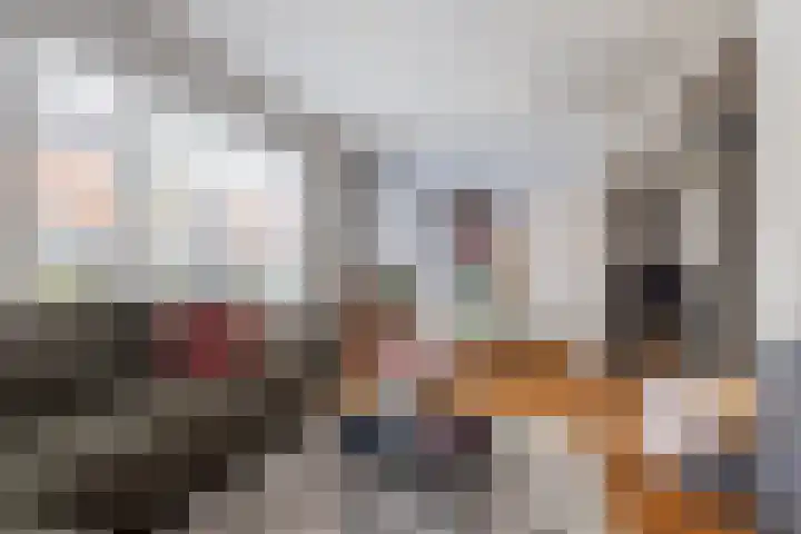 Hofstad 1 Bladel thumbnail 16