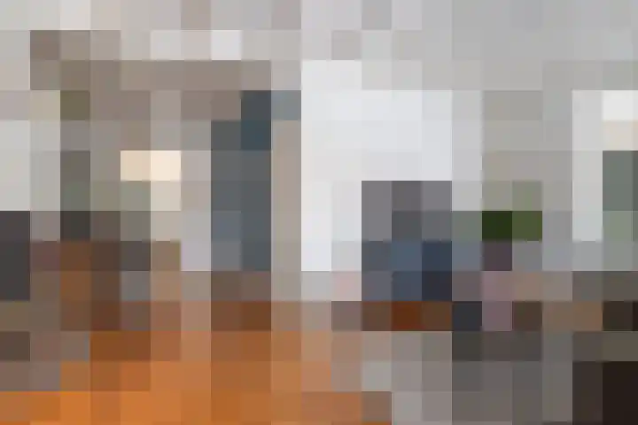 Hofstad 1 Bladel thumbnail 18