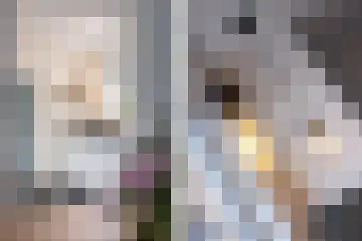Hofstad 1 Bladel thumbnail 21