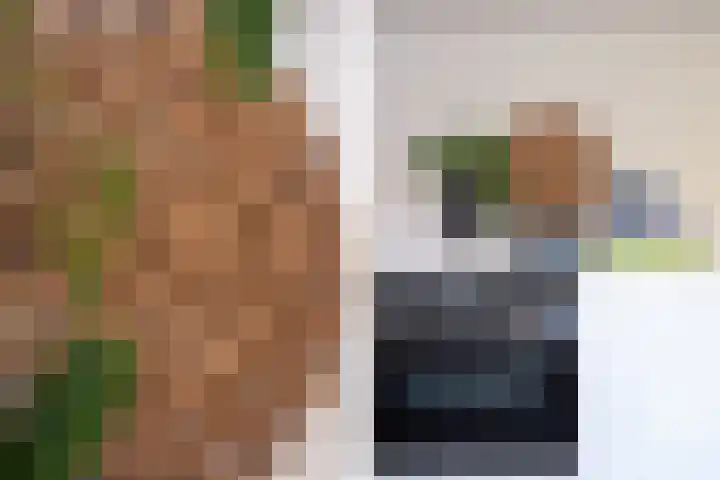 Hofstad 1 Bladel thumbnail 25