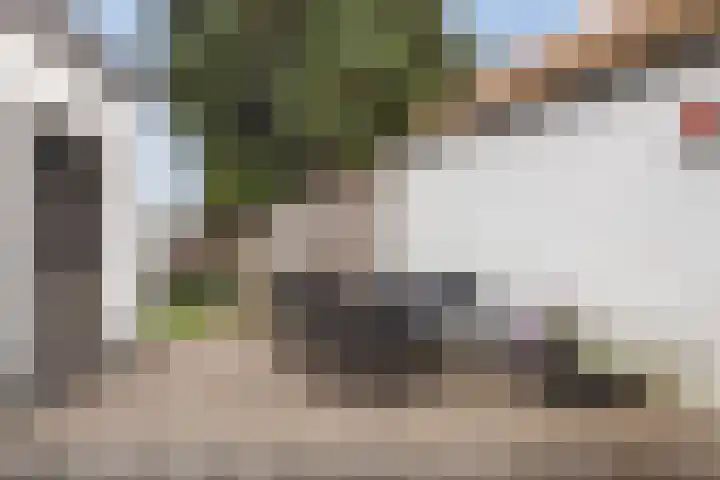 Hofstad 1 Bladel thumbnail 30