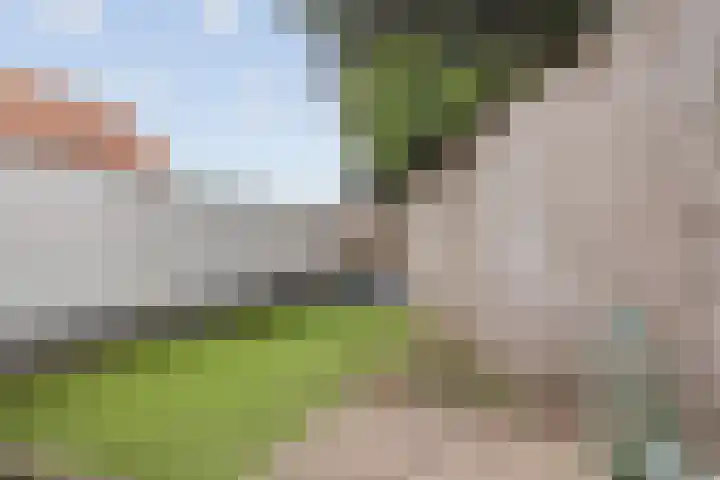 Hofstad 1 Bladel thumbnail 31