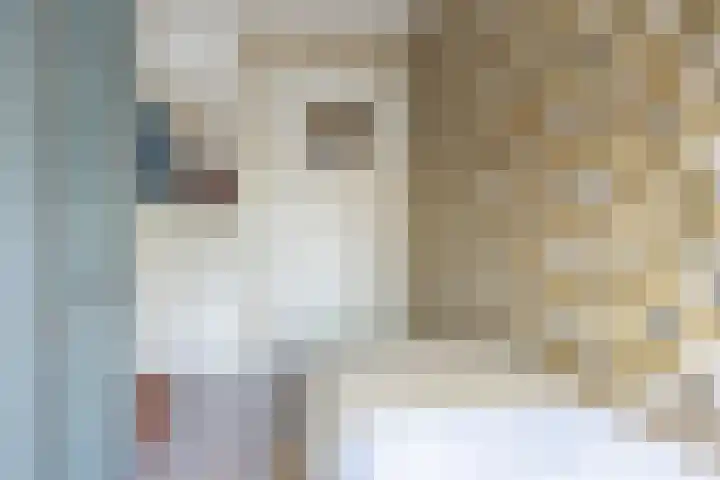 Hofstad 1 Bladel thumbnail 38