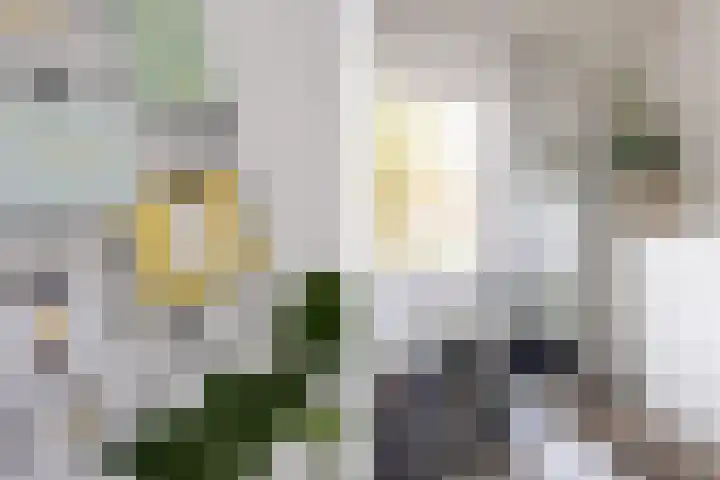 Hofstad 1 Bladel thumbnail 39