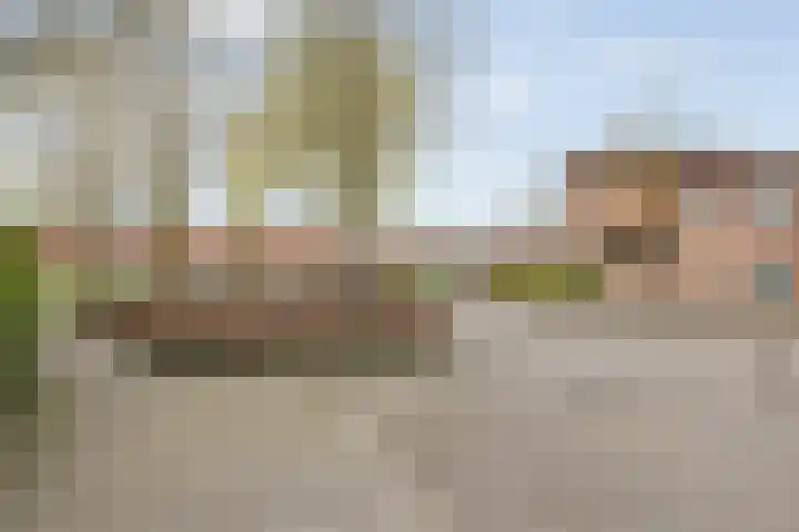 Hofstad 1 Bladel thumbnail 48