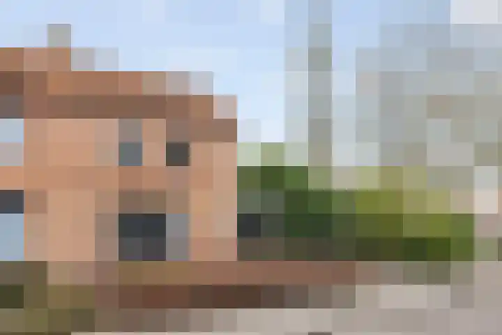 Hofstad 1 Bladel thumbnail 5