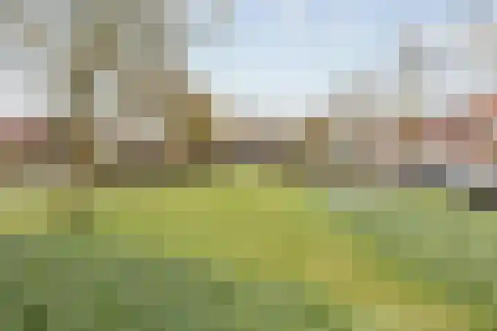 Hofstad 1 Bladel thumbnail 50