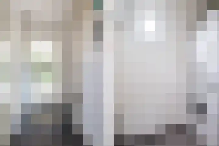 Hofstad 1 Bladel thumbnail 9