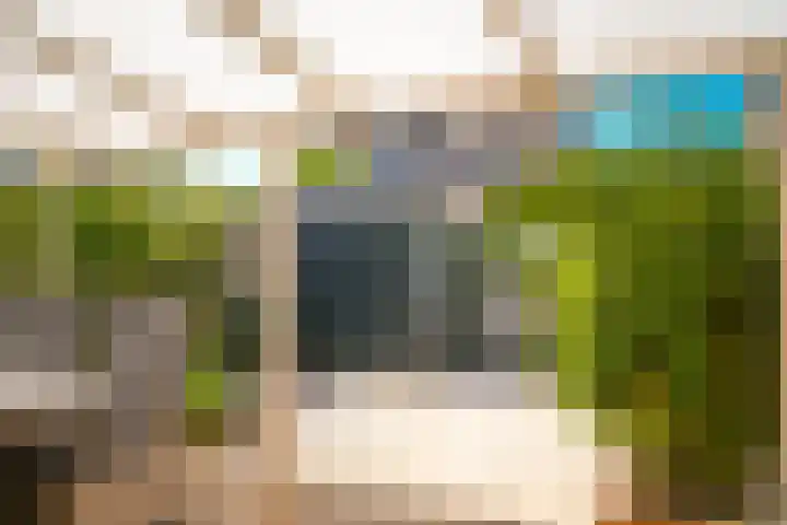 Hofstad 23 Tiel thumbnail 20