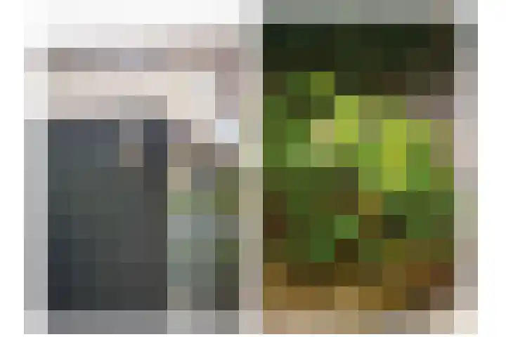 Hofstad 23 Tiel thumbnail 22