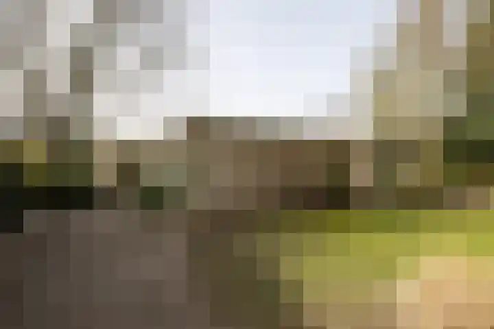 Hofstad 7 Helmond thumbnail 40