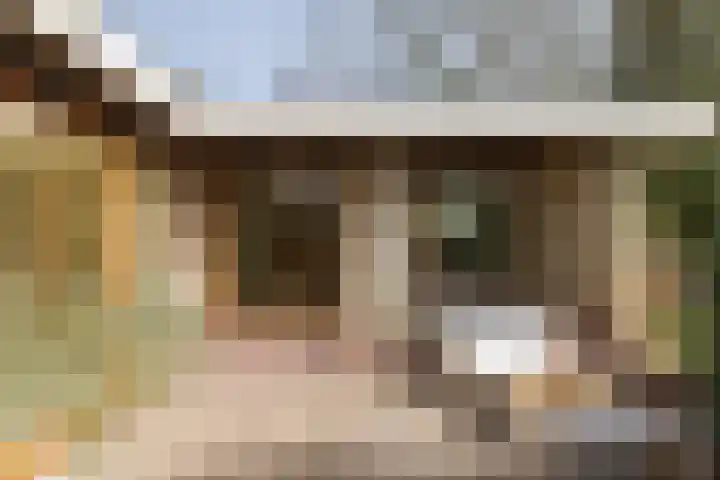 Hofstad 7 Helmond thumbnail 43
