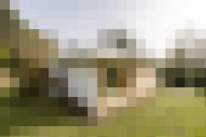 Hofstad 7 Helmond thumbnail 47