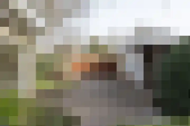 Hofstad 7 Helmond thumbnail 51