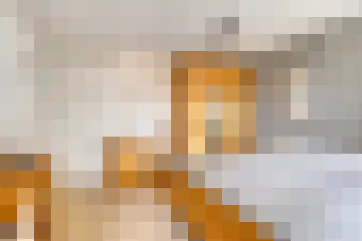 Hofstade 30 Alphen thumbnail 19