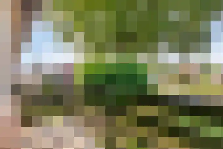 Hofstade 30 Alphen thumbnail 20