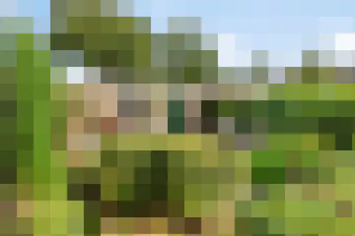 Hofstade 30 Alphen thumbnail 33
