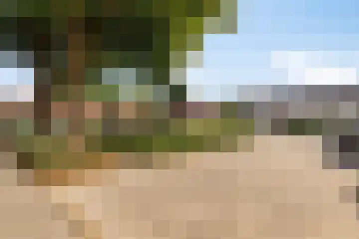 Hofstade 30 Alphen thumbnail 35