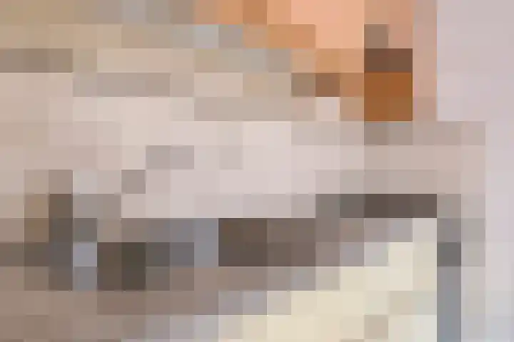 Hofstaete 47 Herveld thumbnail 21