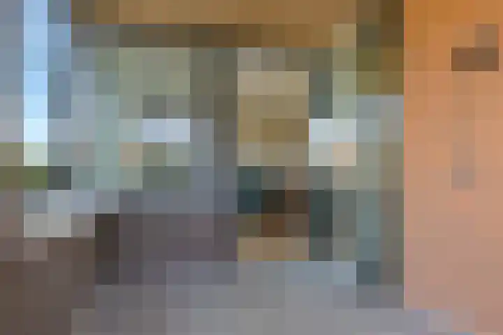 Hofstaete 47 Herveld thumbnail 26
