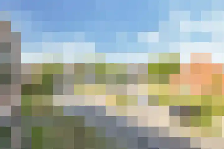 Hofstaete 47 Herveld thumbnail 28