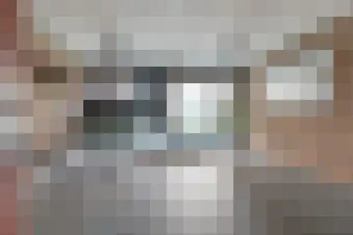 Hofstaete 47 Herveld thumbnail 47