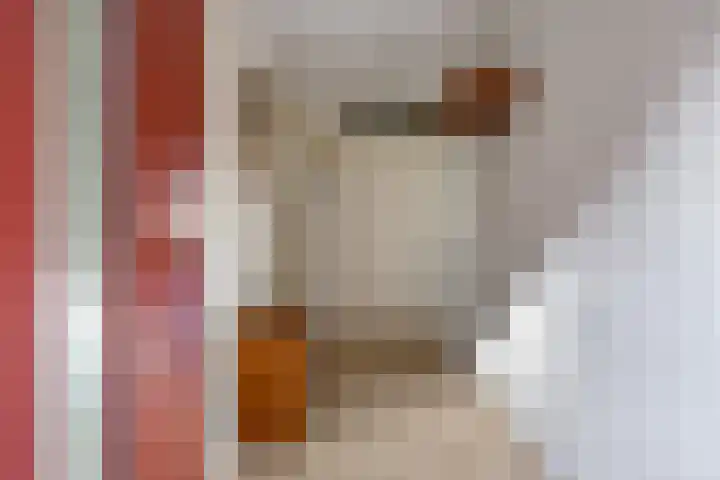 Hofstaete 47 Herveld thumbnail 7