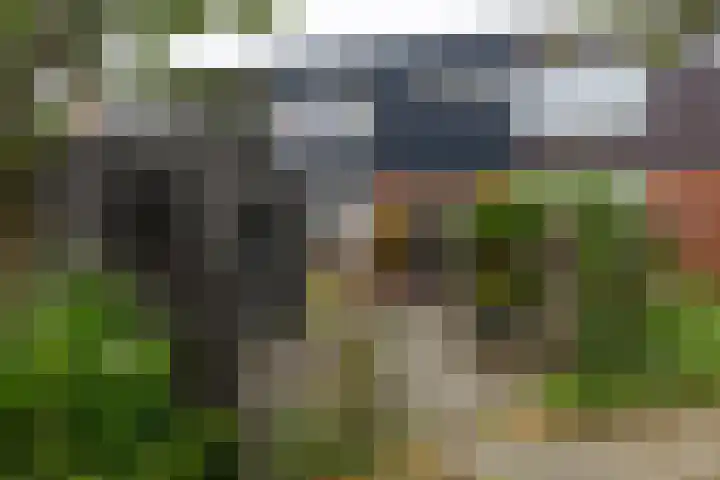 Hofstede 135 Lelystad thumbnail 31