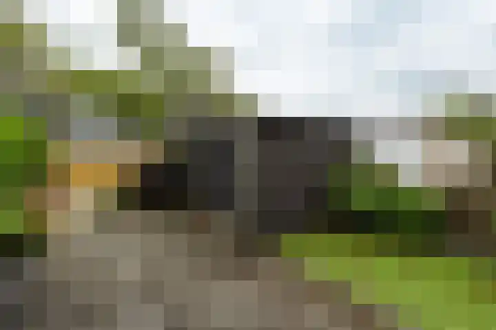 Hofstede 135 Lelystad thumbnail 6