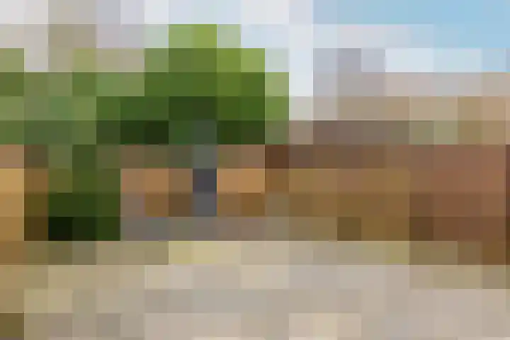 Hofstede 186 Lelystad thumbnail 25