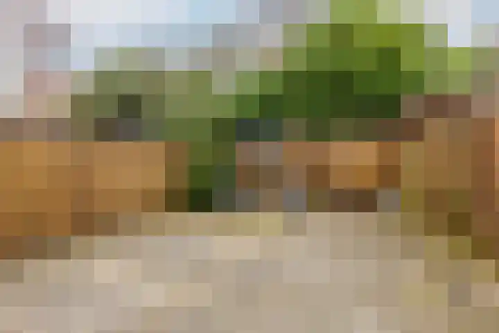 Hofstede 186 Lelystad thumbnail 5
