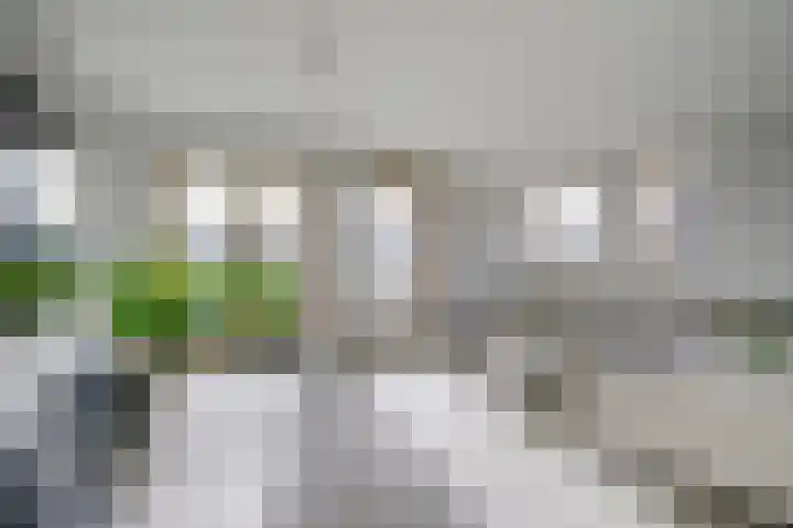 Hofstede 19 Bodegraven thumbnail 24