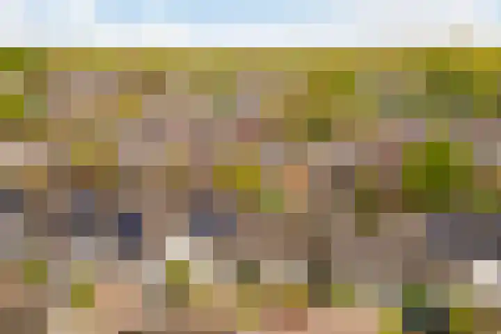 Hofstede 19 Bodegraven thumbnail 26