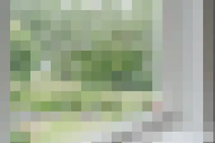 Hofstede 19 Bodegraven thumbnail 37