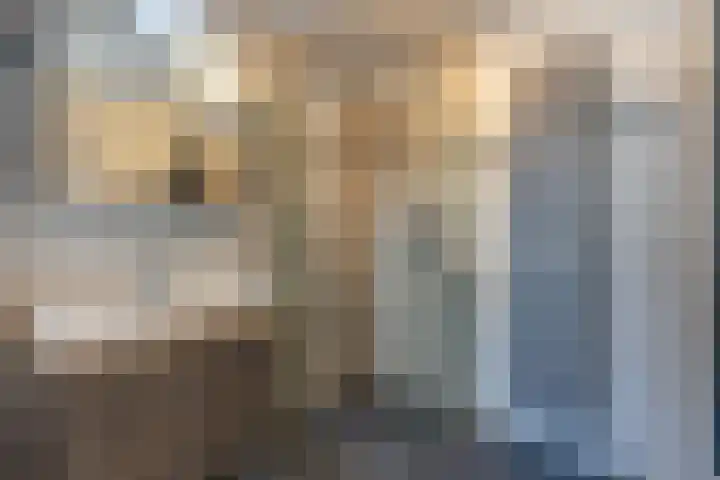 Hofstede 19 Bodegraven thumbnail 48