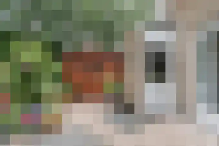 Hofstede 19 Bodegraven thumbnail 51