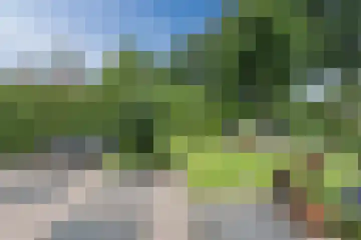 Hofstede 19 Bodegraven thumbnail 53