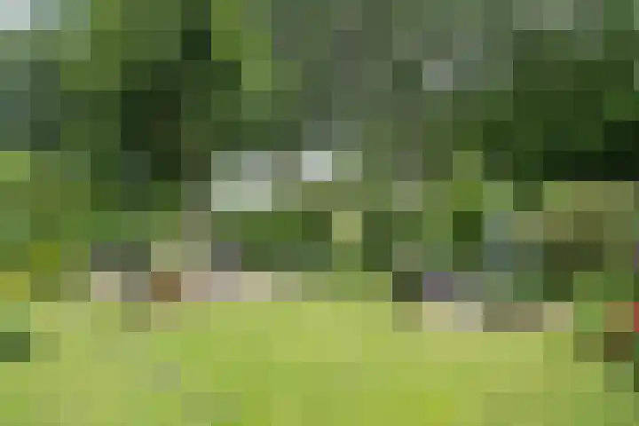 Hofstede 19 Bodegraven thumbnail 54