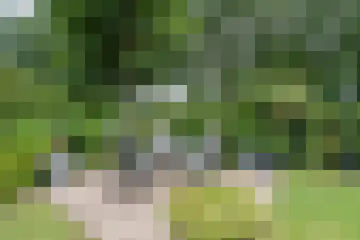 Hofstede 19 Bodegraven thumbnail 56