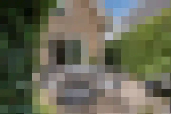 Hofstede 19 Bodegraven thumbnail 58