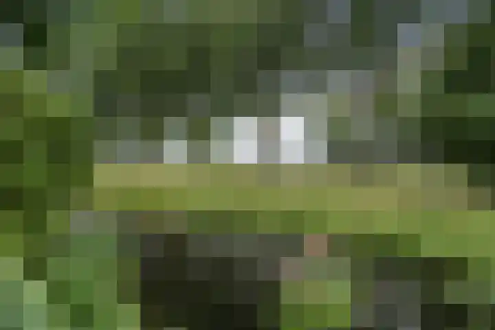 Hofstede 19 Bodegraven thumbnail 59