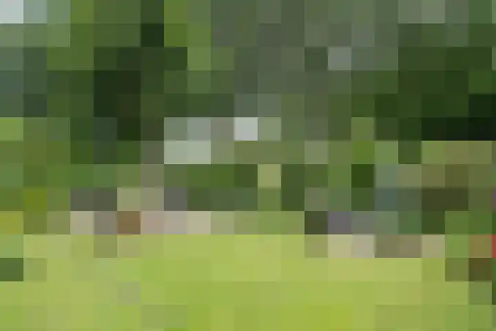 Hofstede 19 Bodegraven thumbnail 6