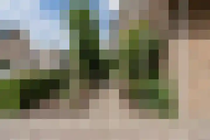 Hofstede 19 Bodegraven thumbnail 62