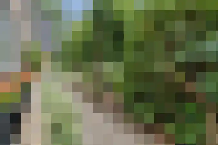 Hofstede 19 Bodegraven thumbnail 63