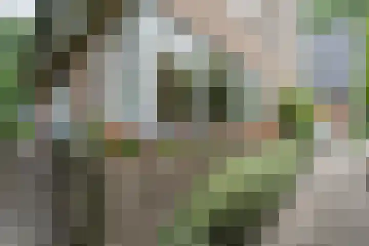 Hofstede 19 Bodegraven thumbnail 64