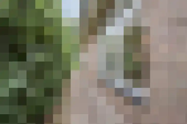 Hofstede 19 Bodegraven thumbnail 65