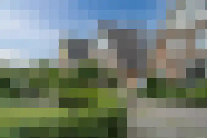 Hofstede 19 Bodegraven thumbnail 66