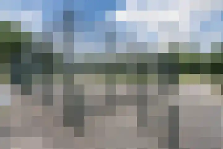 Hofstede 19 Bodegraven thumbnail 68
