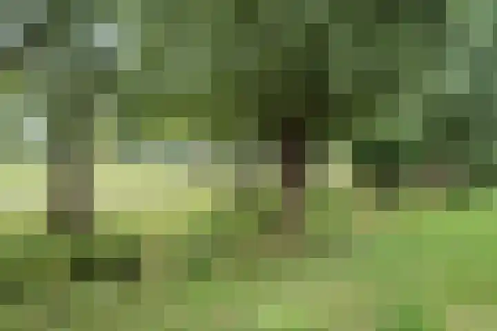Hofstede 19 Bodegraven thumbnail 69
